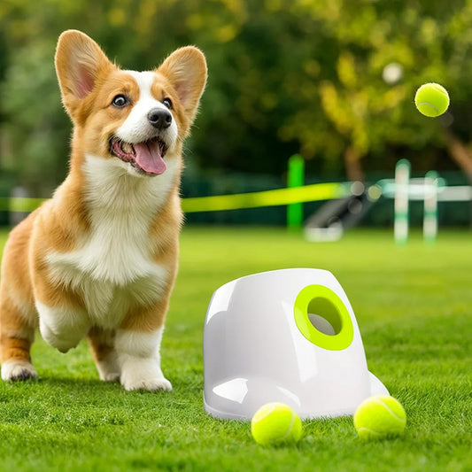 Ball throwing machine